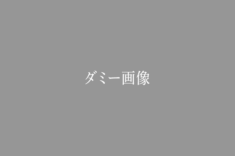ダミー画像