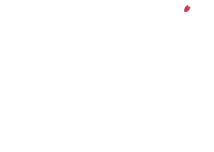 Only One 歯科衛生士や助手などの女性スタッフによるきめ細やかな心配りや優しさを大切にしています
