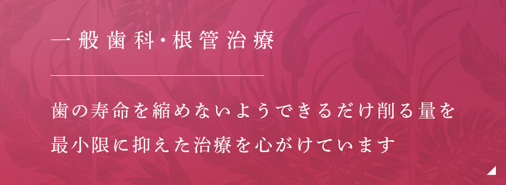 一般歯科根管治療 歯の寿命を縮めないよう
できるだけ削る量を最小限に抑えた治療を心がけています