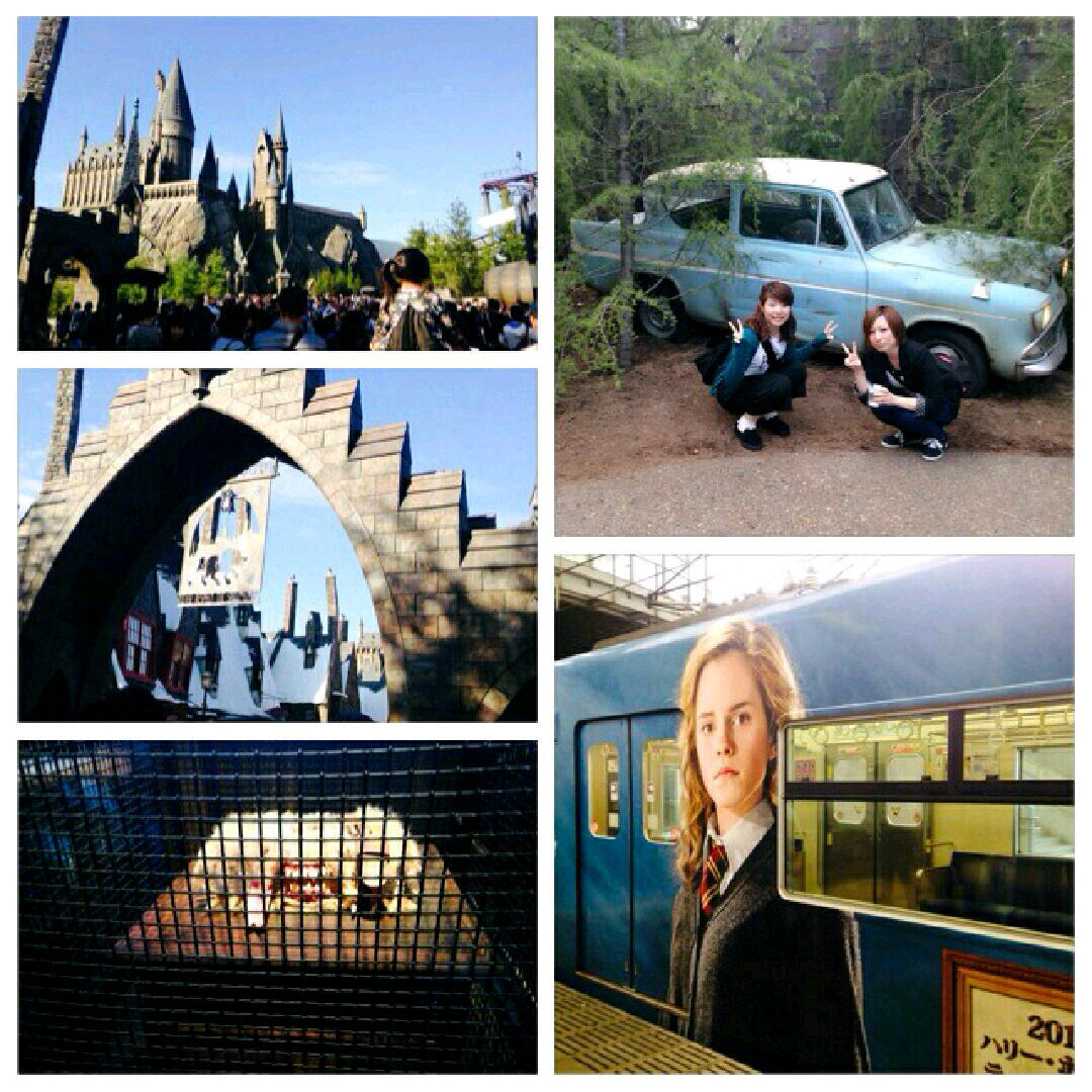 imgG51110363_1414298198107